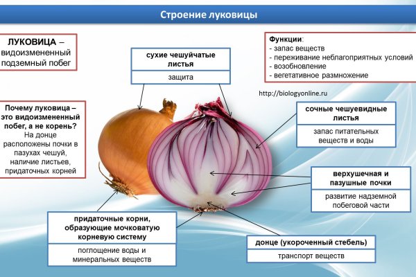 Кракен последние ссылки